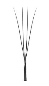 Strukturzeichnung schmaler 4D-W-Wimpernextensions.