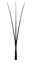 Strukturzeichnung schmaler 3D-W-Wimpernextensions.
