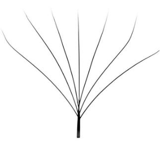 7D W lash-extension Struktur-Abbildung