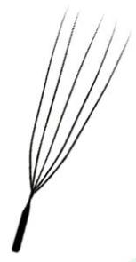 Strukturzeichnung von U-5D-W-Wimpernextensions.